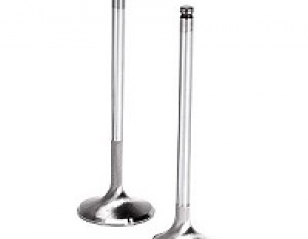 Intake and Exhaust Valve